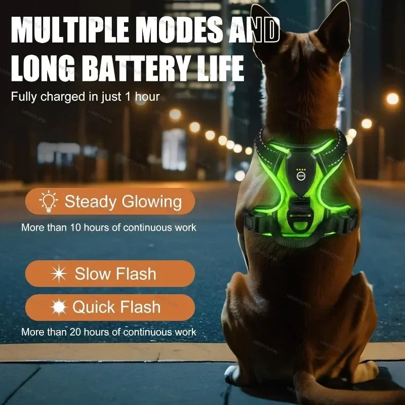 LED No Pull Dog Harness