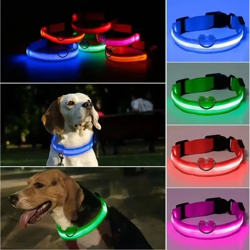 LED Adjustable Dog Collar