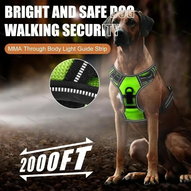 LED No Pull Dog Harness
