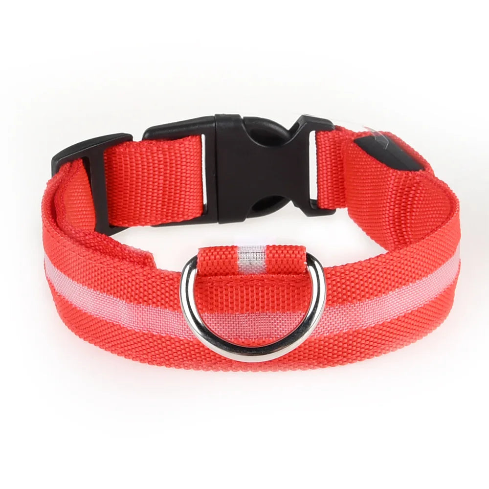 LED Adjustable Dog Collar