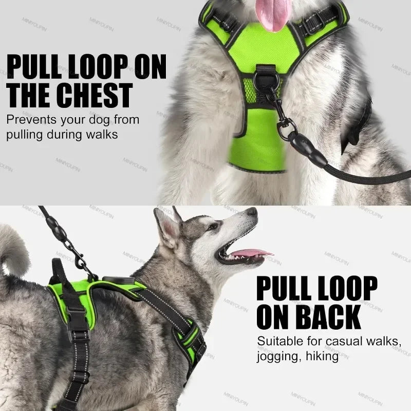 LED No Pull Dog Harness