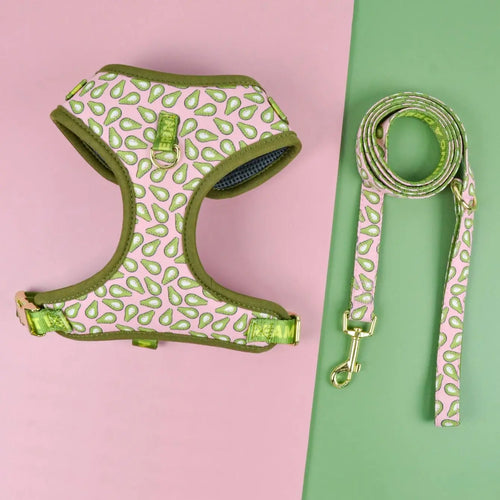 Luxury Adjustable Dog Harness & Lead Set - Avocado