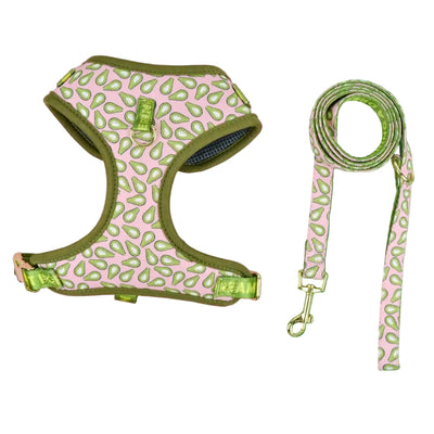 Luxury Adjustable Dog Harness & Lead Set