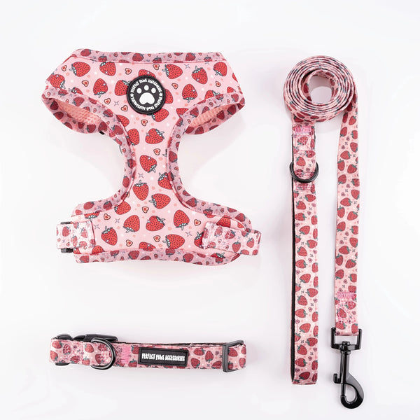 3-Piece Dog Harness Set (Harness, Lead & Collar) - Pink Strawberries