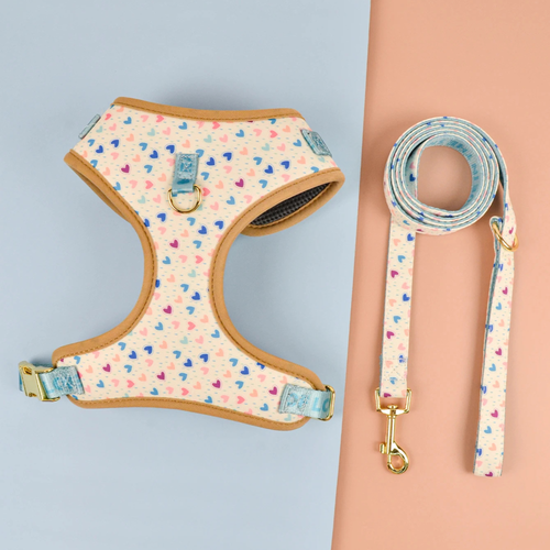 Luxury Adjustable Dog Harness & Lead Set - Mini Hearts